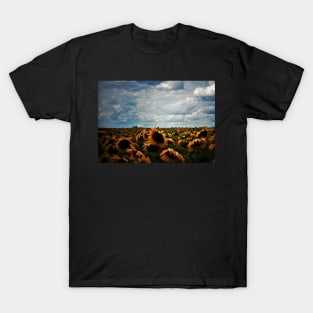 Field of Sunflowers on a Cloudy Day T-Shirt